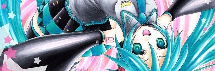 Huki banner
