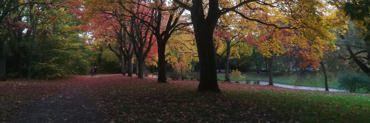 tokfnatt's profile banner image