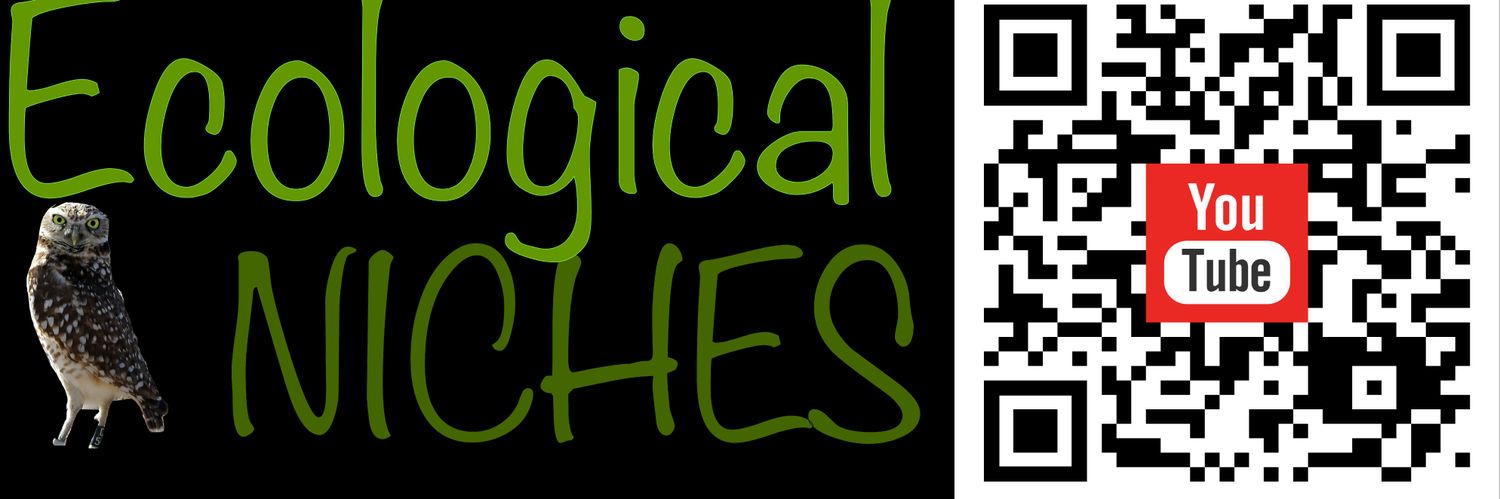 EcoNiches's profile banner image