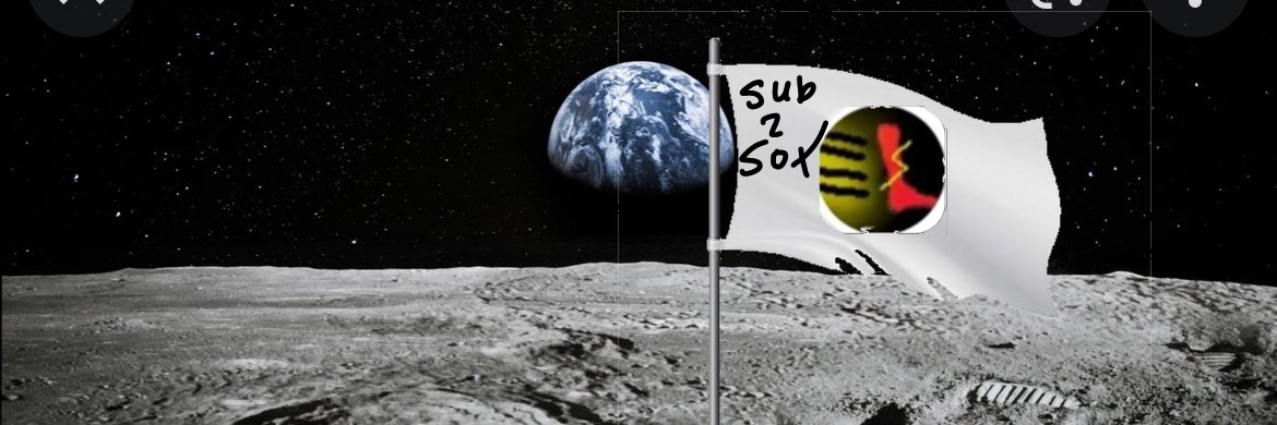 Socks banner