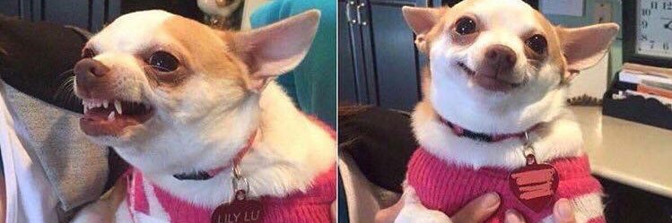 Amber. ❤️‍🔥 banner