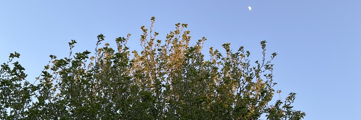 DrMark37's profile banner image