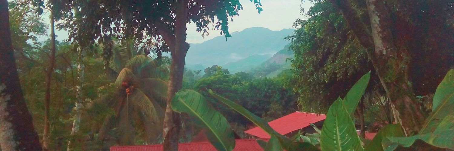 wannerdiaz's profile banner image