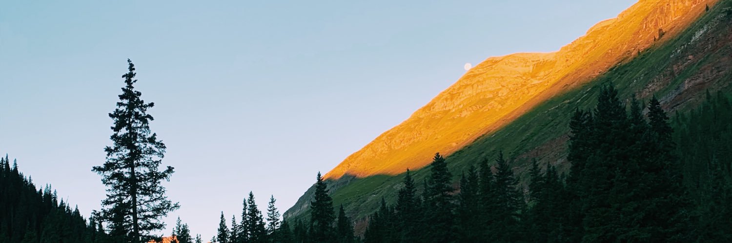 linneasherman's profile banner image