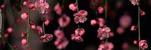 FaithR01986's profile banner image