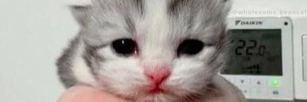 skruyo Profile Banner