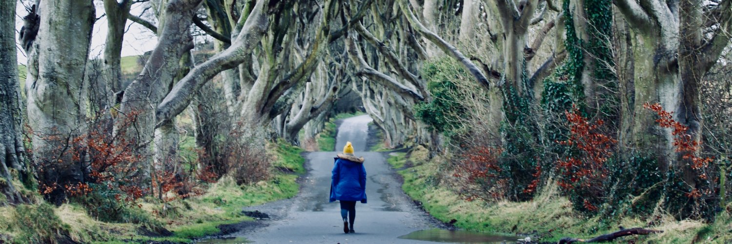 Dr David Hamill (@david-hamill.bsky.social) banner