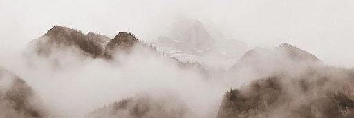 shauna friesen banner