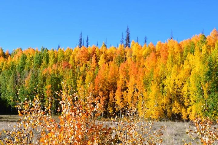 paula_sandlin's profile banner image