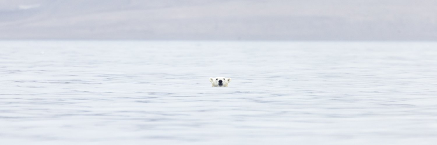 Stephen DesRoches banner