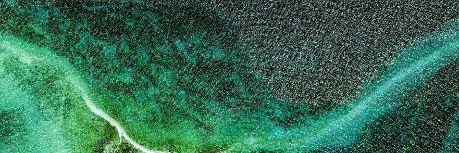romannotroman's profile banner image