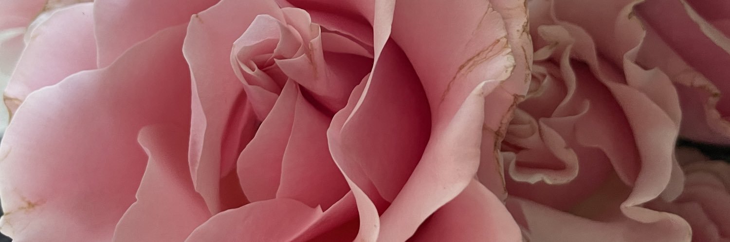 mafluffs's profile banner image