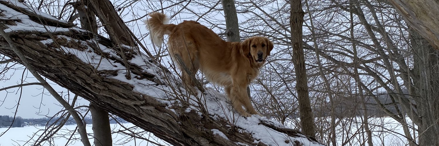 ABuzzacco's profile banner image