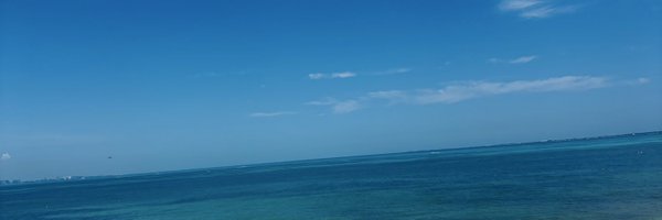 Grace_LA1 Profile Banner