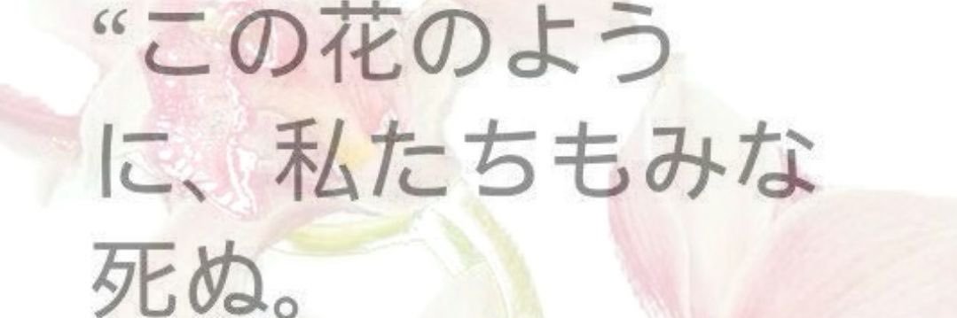 ymikuusmd's profile banner image
