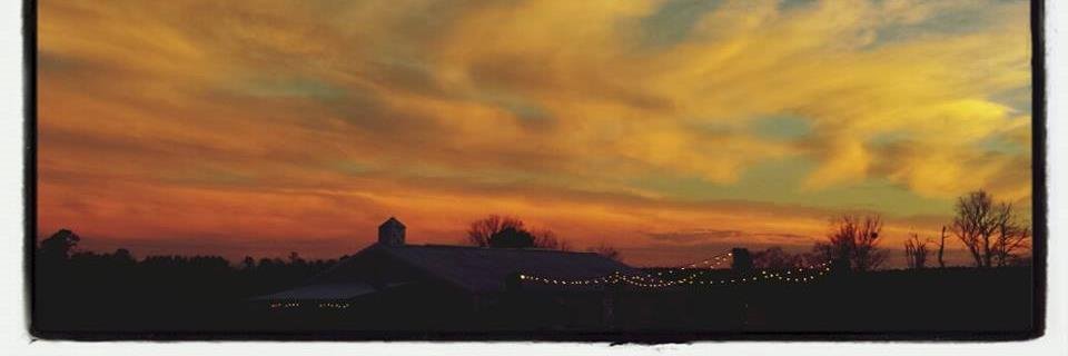 Debra Ford banner