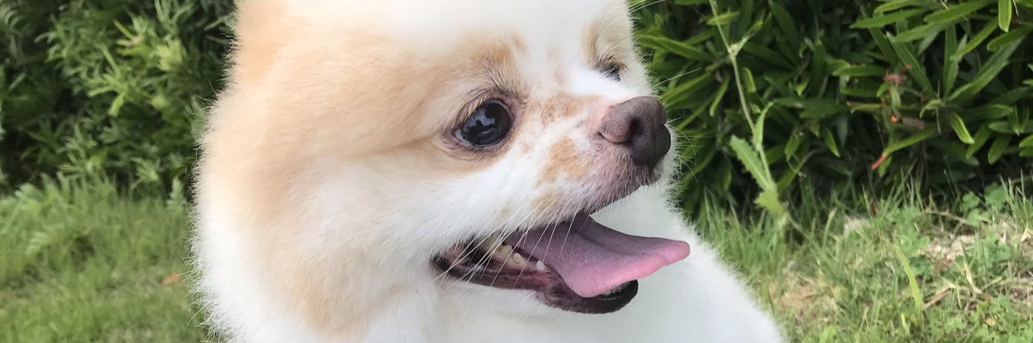 ks_Kny's profile banner image