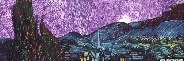 SafahKhan14 Profile Banner