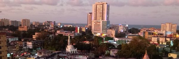 CroeseSylvia Profile Banner