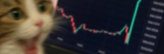 Dubious Speculator banner