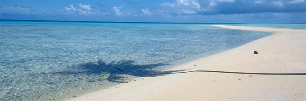 Spazazz Profile Banner