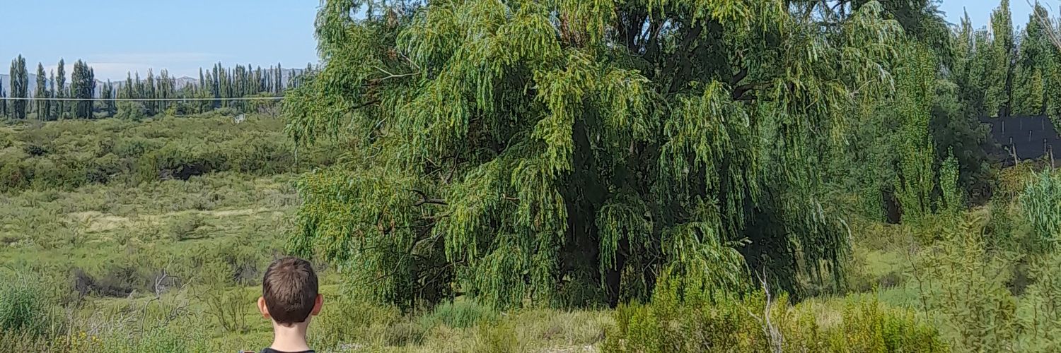 griselgrisi's profile banner image