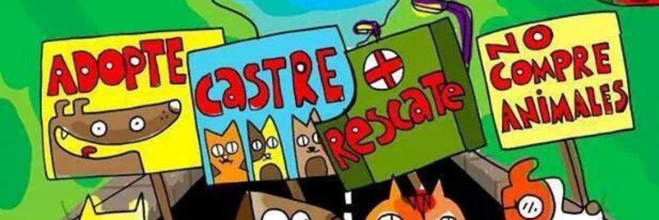 felisycan's profile banner image