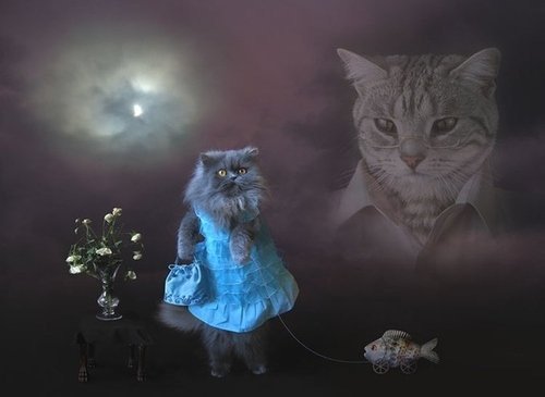 mervesdekskl's profile banner image
