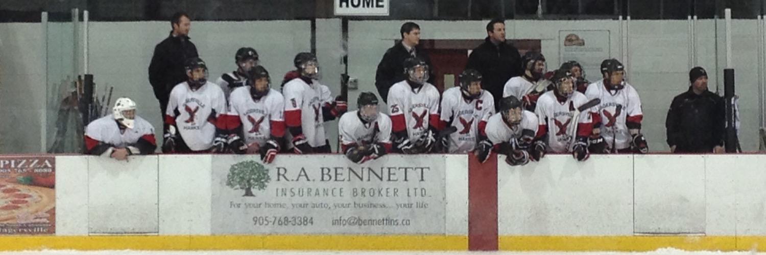 Hagersville Hawks banner