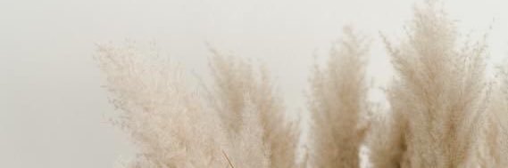 Katuvaldes's profile banner image