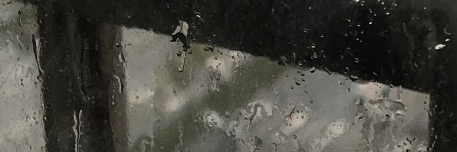 ZzwkuN banner