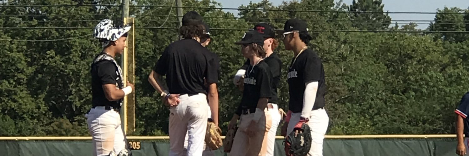 SouthSide Dawgs Baseball banner