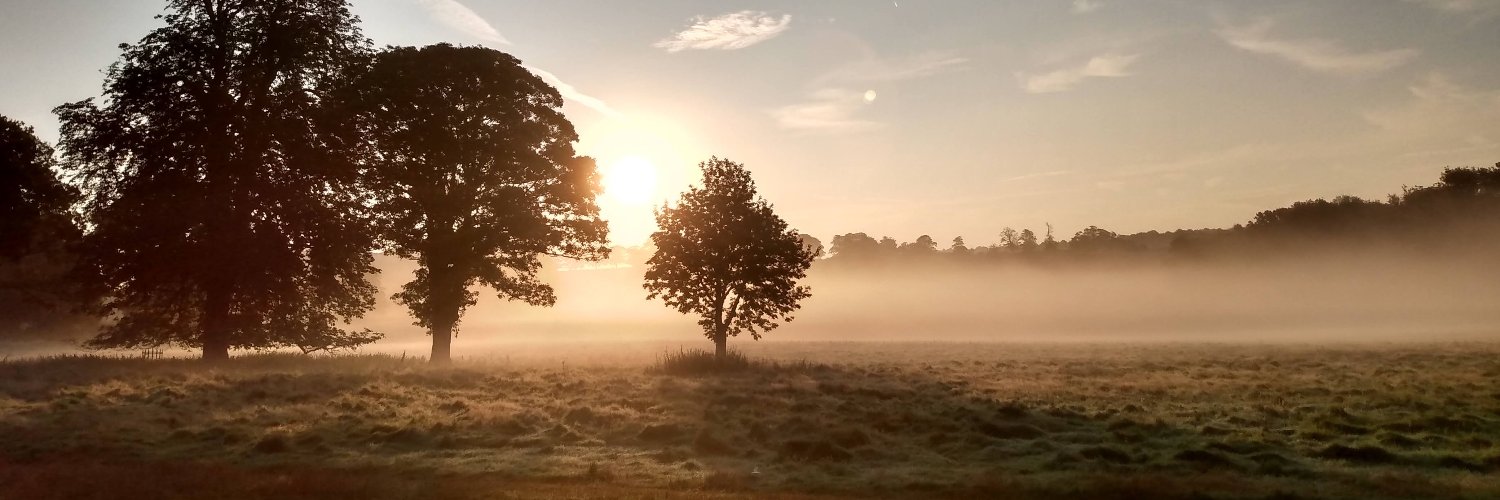 EmmaLawsen's profile banner image