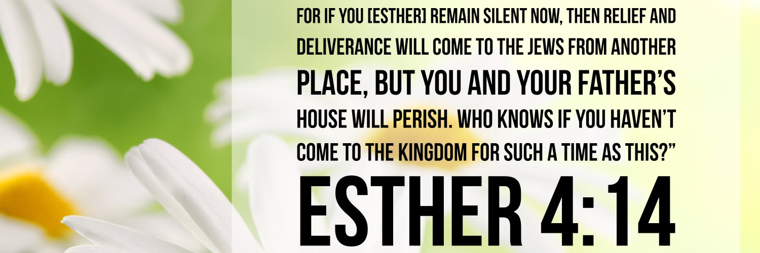 Beth Wiles 🗣🇺🇸 🍊 banner