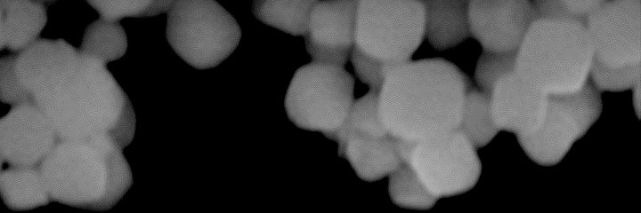 Vector Bioscience Cambridge banner