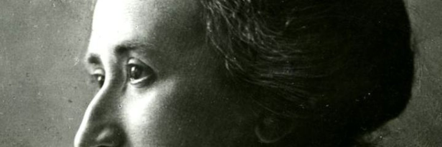 Rosa Luxemburg（parody） Profile Banner