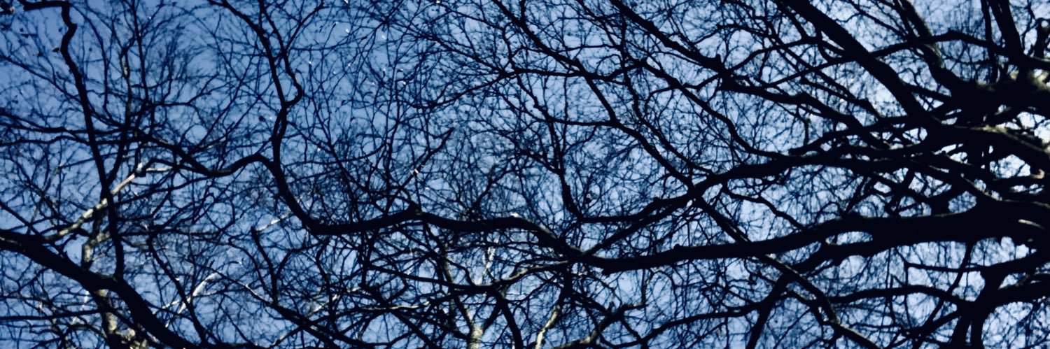 AnoukVogels's profile banner image