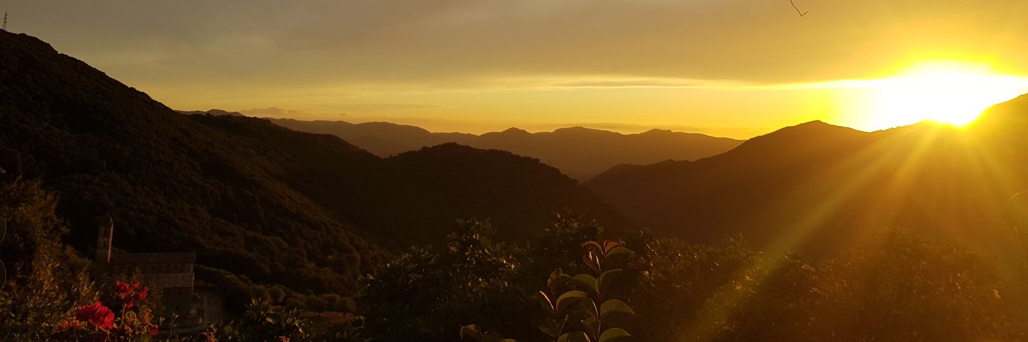 🌻 @twetzling@eupolicy.social banner