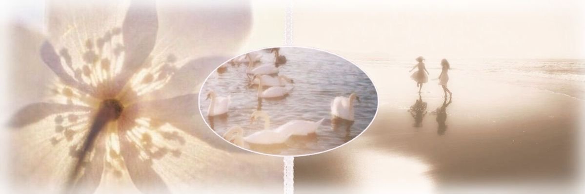 lcvesng's profile banner image