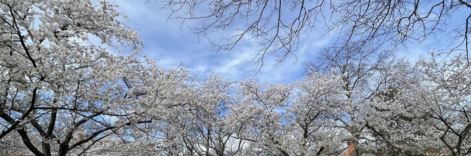 Ginnie Titterton banner