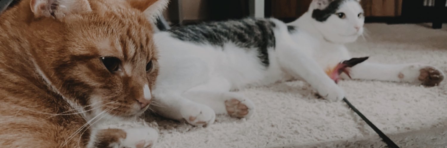 jedoppelsy's profile banner image