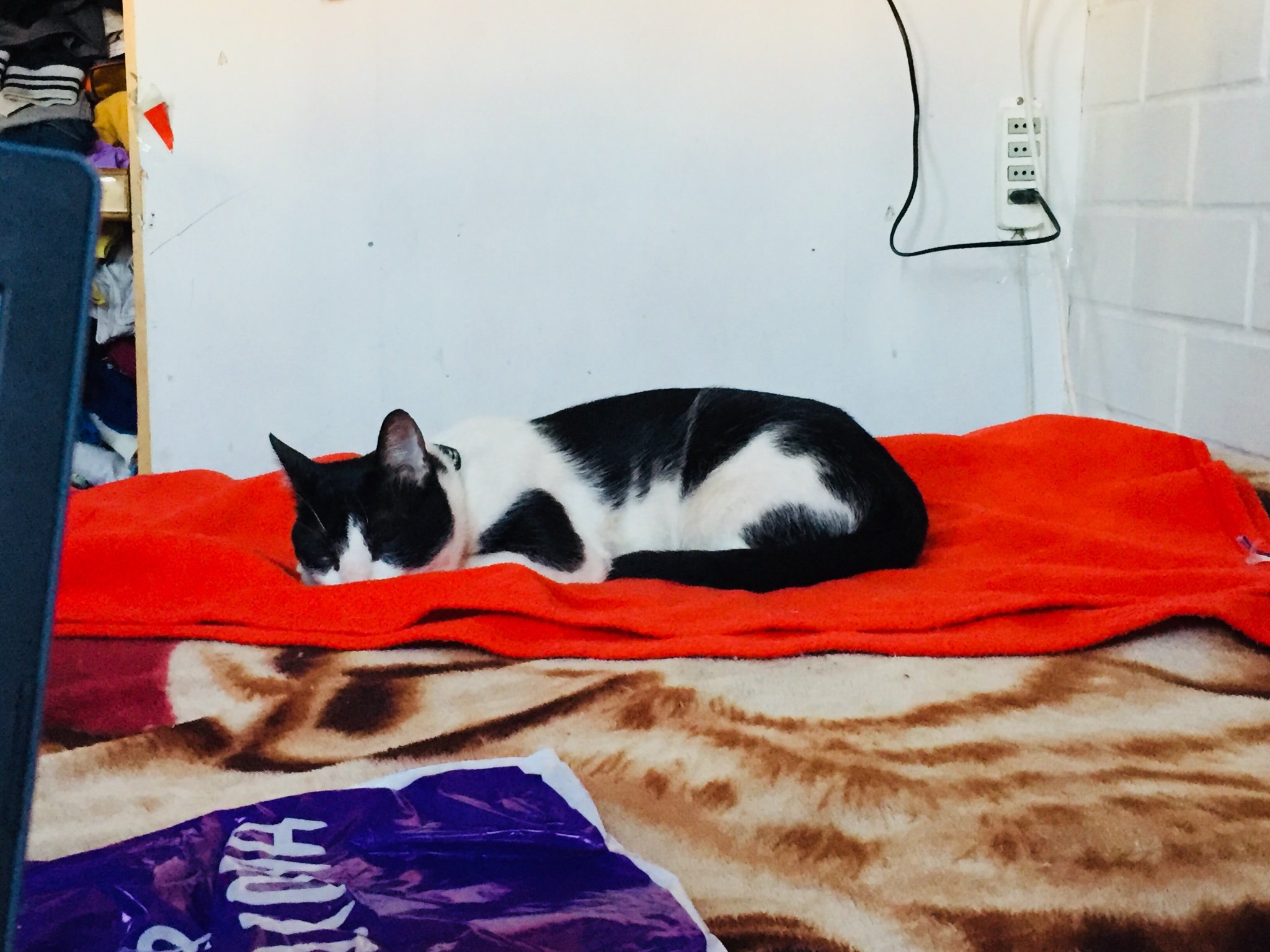 catterinnaaa_'s profile banner image