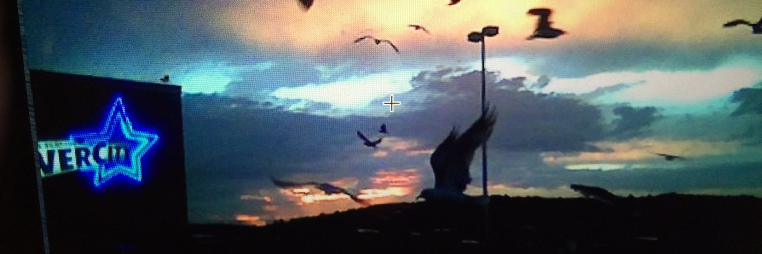 MacLeodWindsor's profile banner image