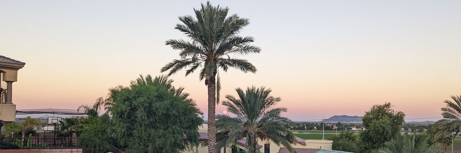 Coach Cory Deter banner