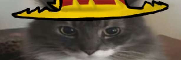 Aaronjhfsjsj banner