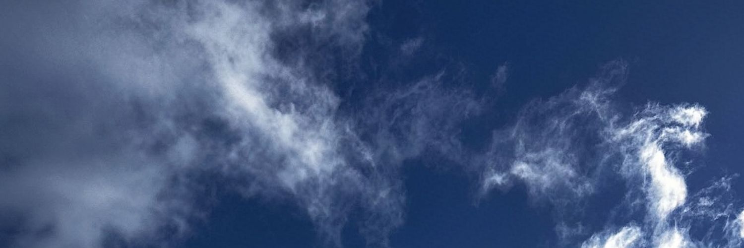 owl banner