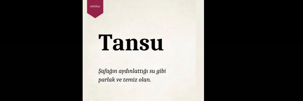 Teansu21's profile banner image