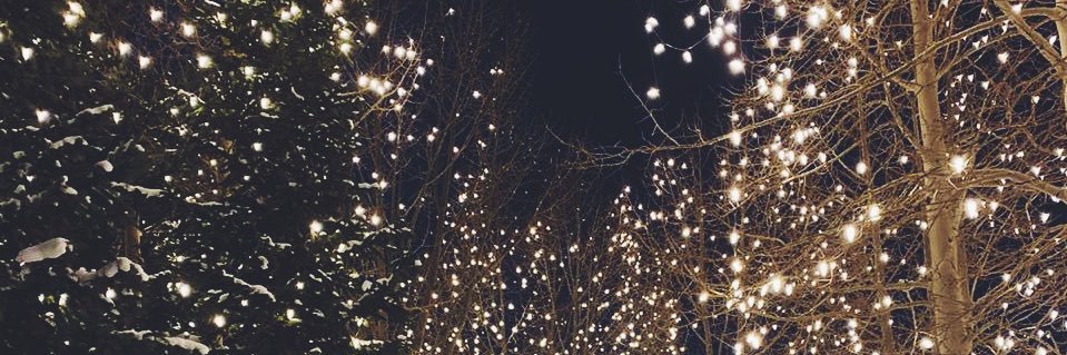 vicky_salinas's profile banner image