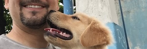 jppercy's profile banner image