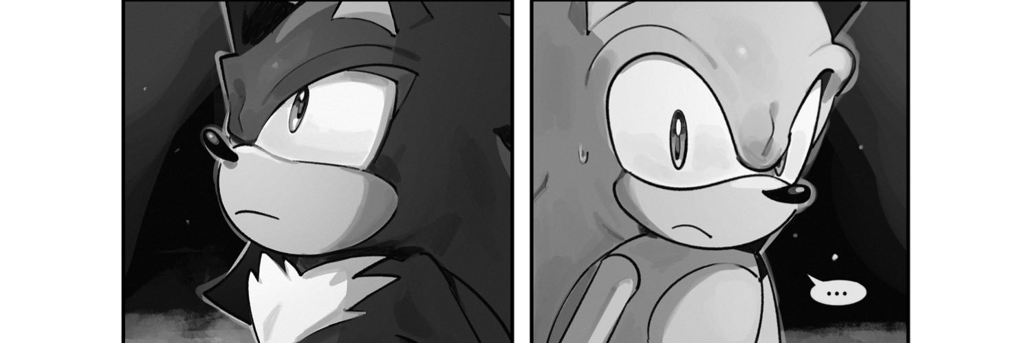 snow's banner
